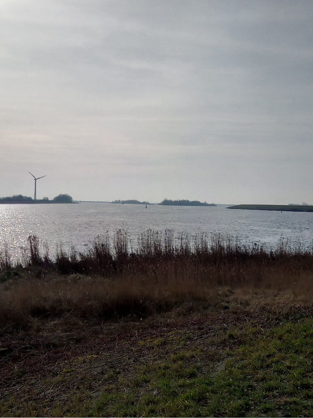 Schelde-Rijnkanaal angeln