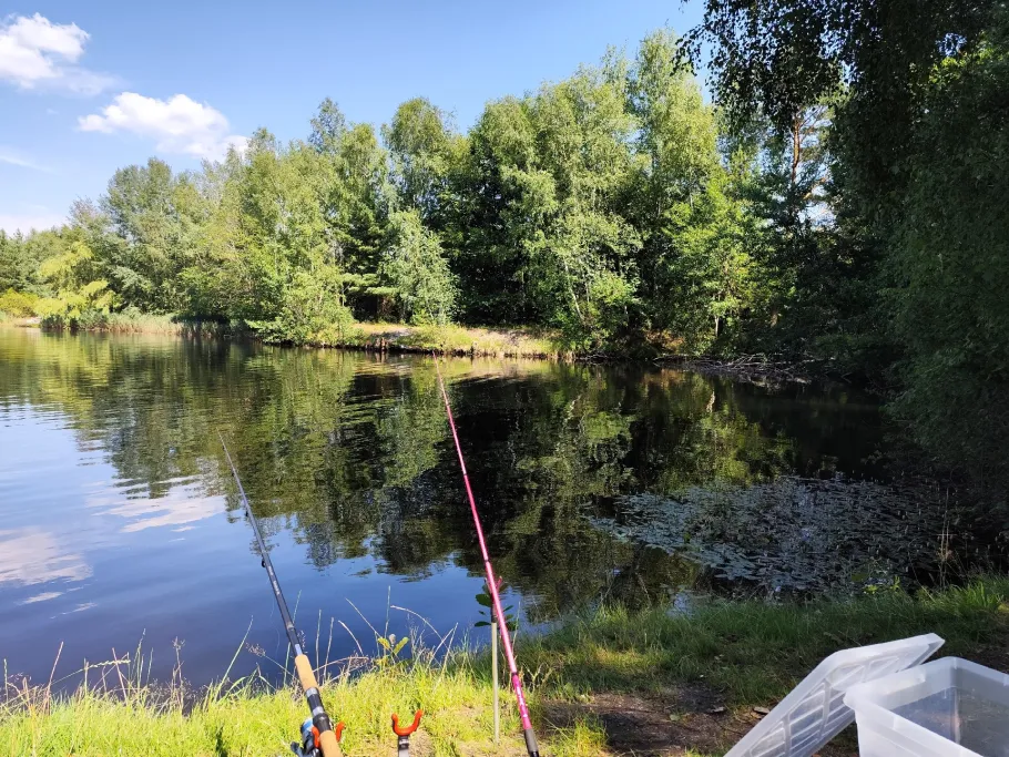 Teichanlage 3 (ASV Bergen) angeln