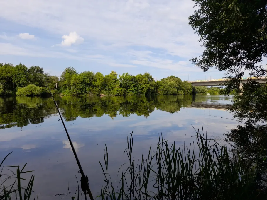 Main-Altarm Hanau-Steinheim angeln