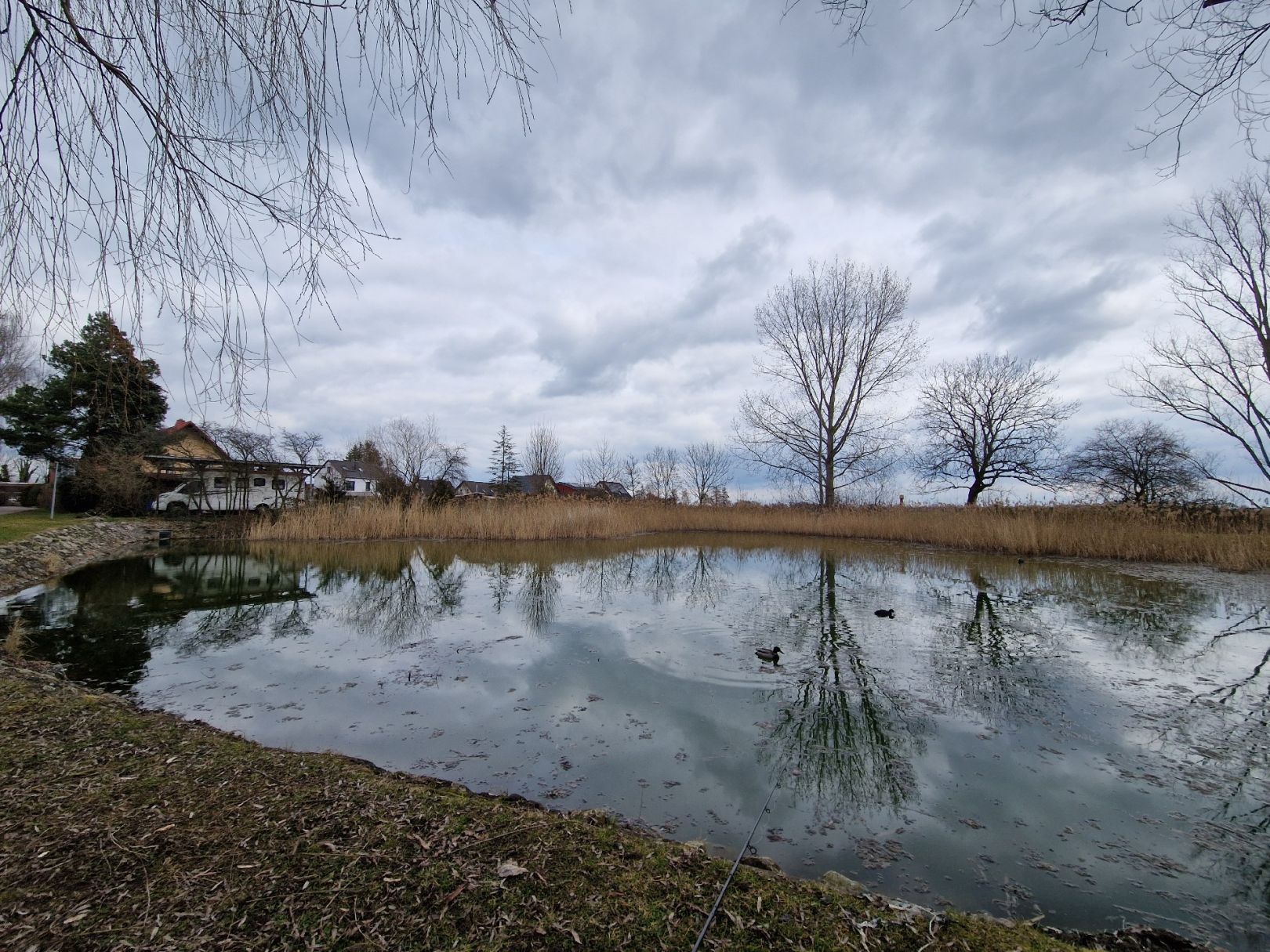 Dorfteich Mötzlich angeln