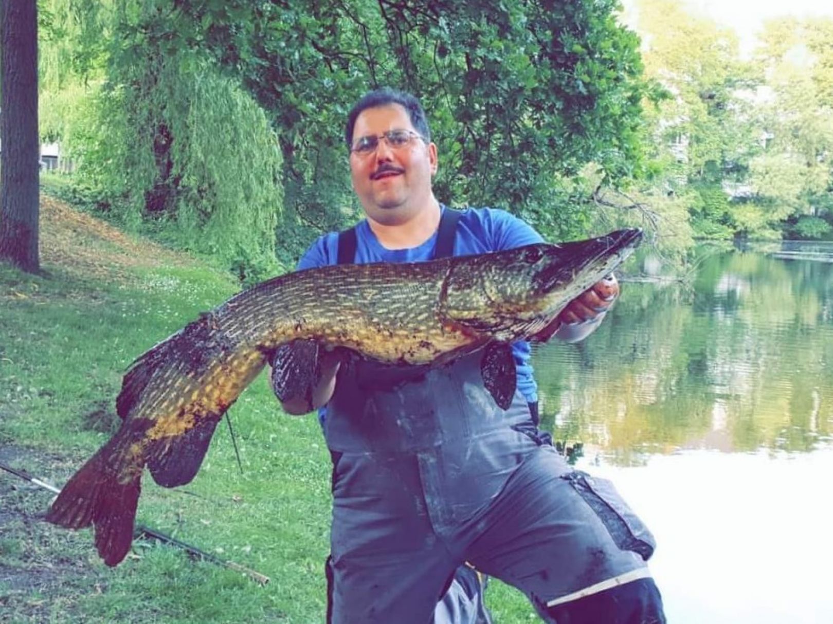 Wallgraben (Bremen) angeln