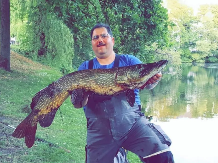 Wallgraben (Bremen) angeln