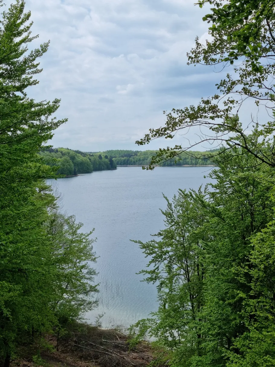 Peetschsee (Fürstenberg/Havel) angeln