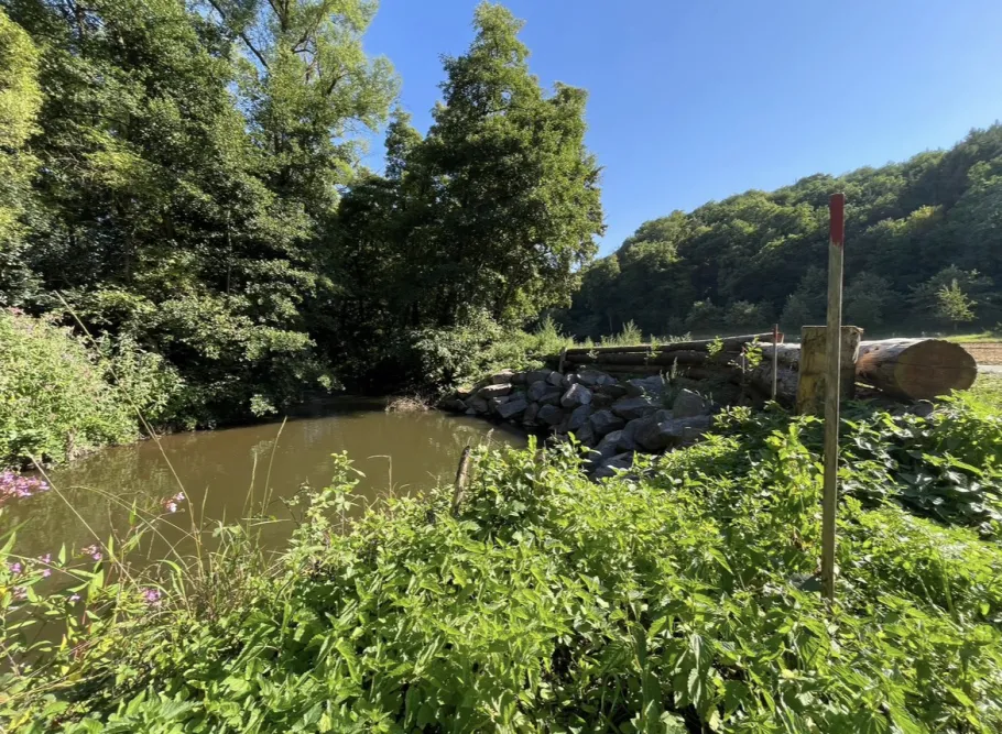 Alsenz (Hochstätten) angeln