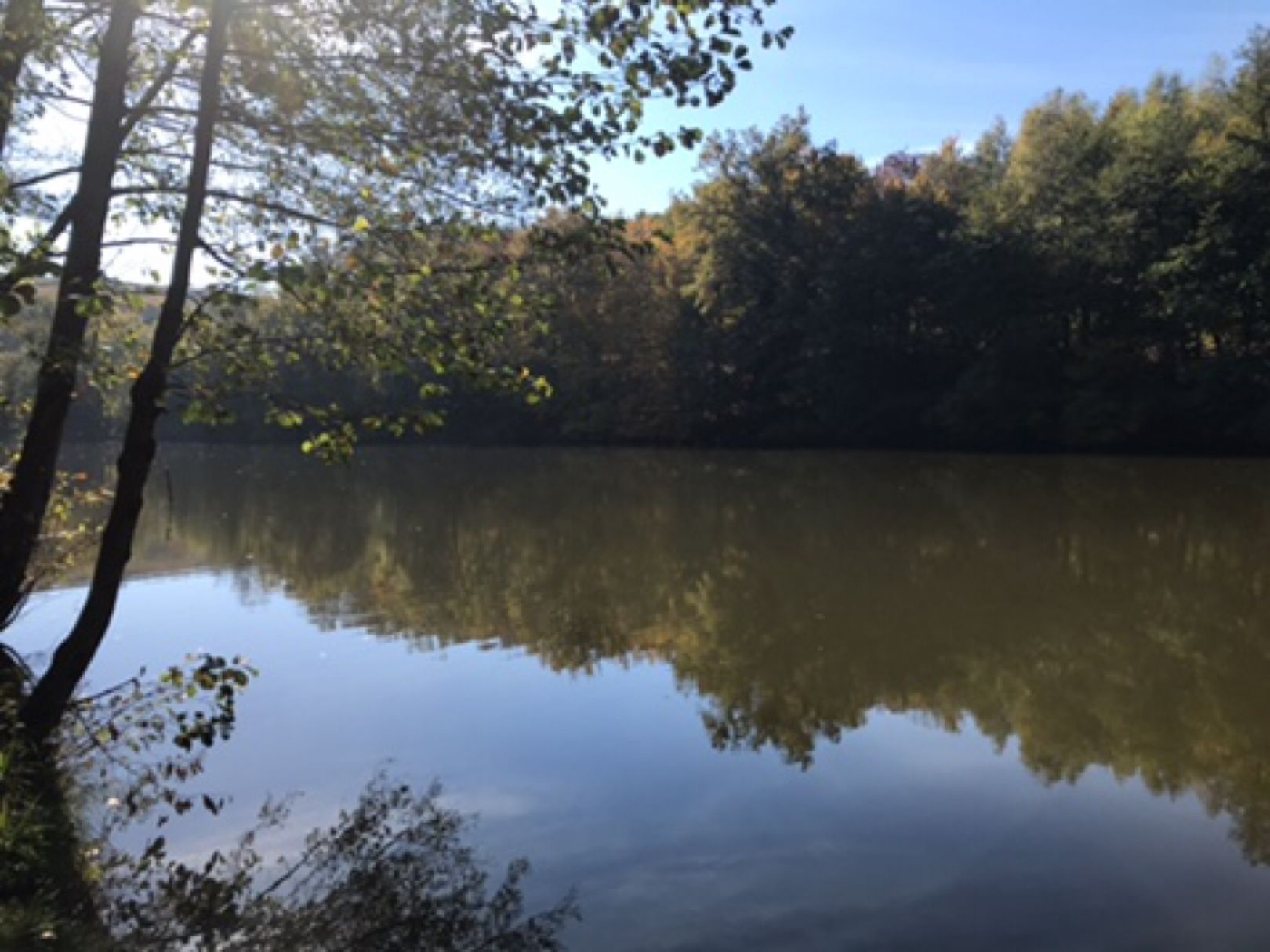 Netzbachweiher angeln