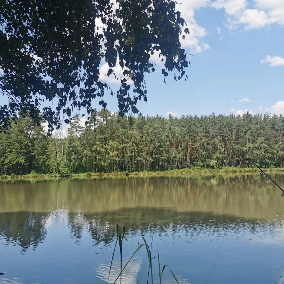 Großweiher (Schwandorf) angeln