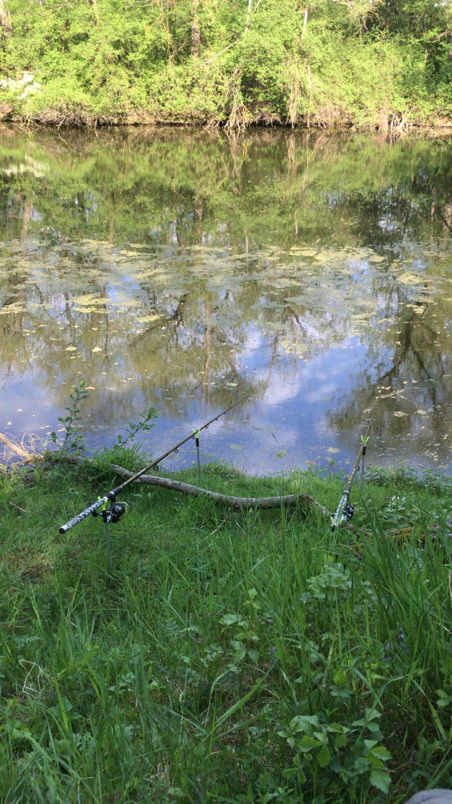 Tuchbleichsee (Unterensingen) angeln