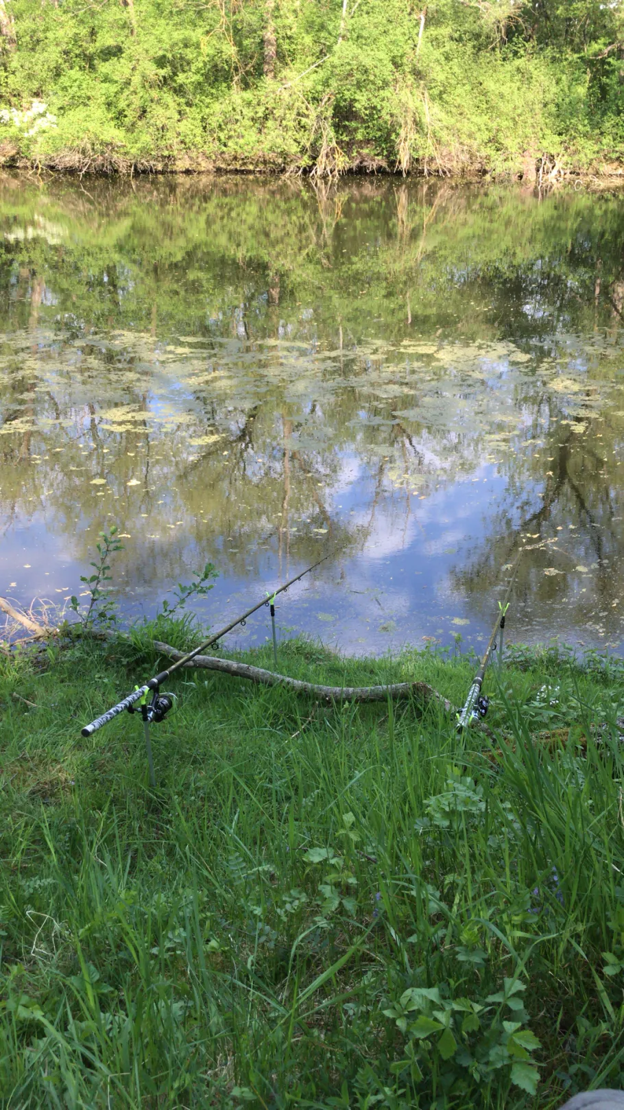 Tuchbleichsee (Unterensingen) angeln