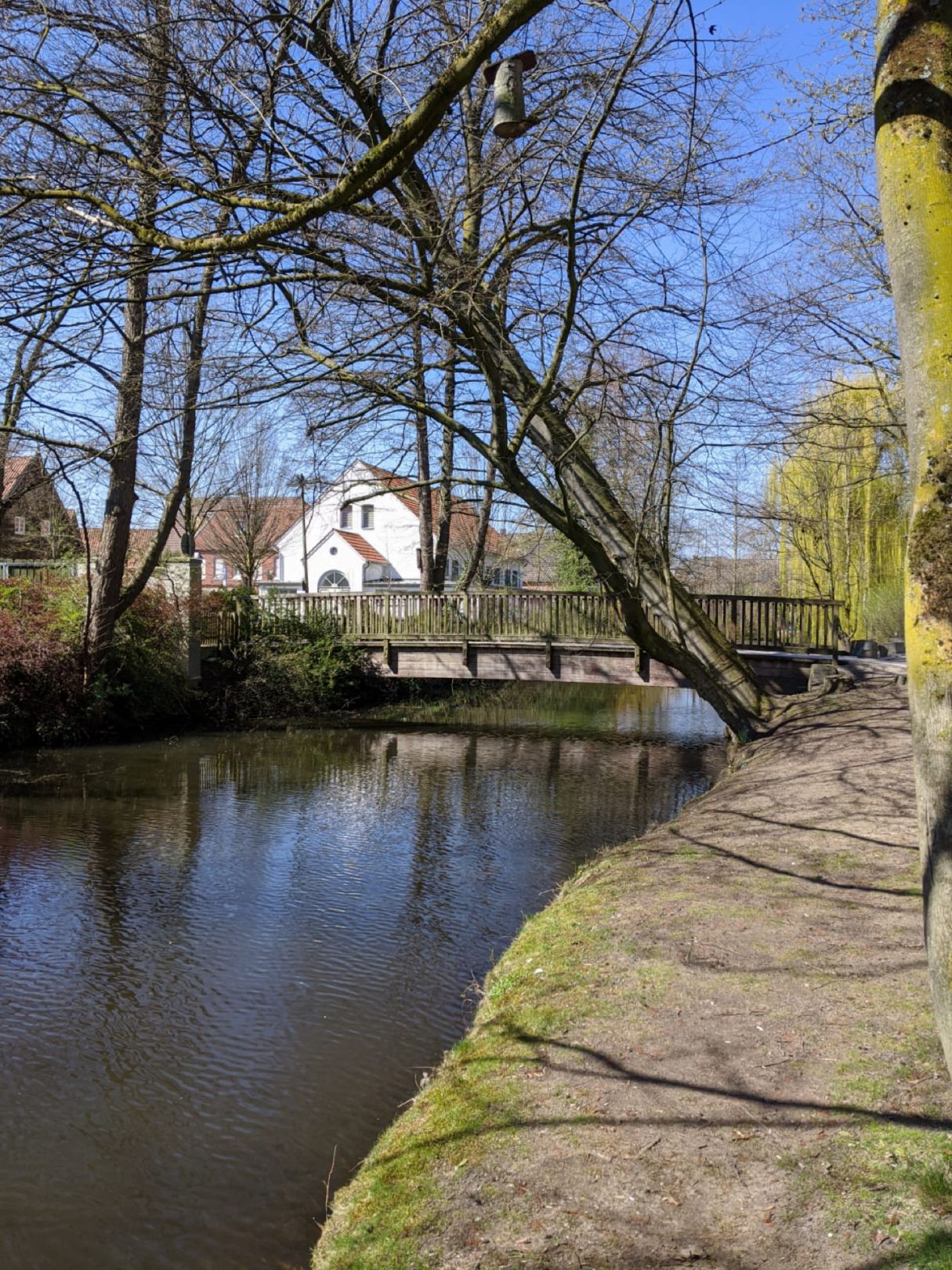 Ems (Rietberg) angeln