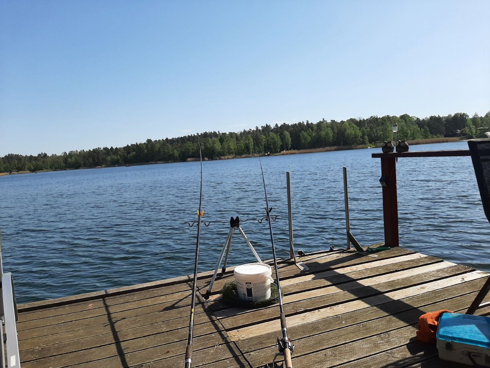 Möhlauer See angeln