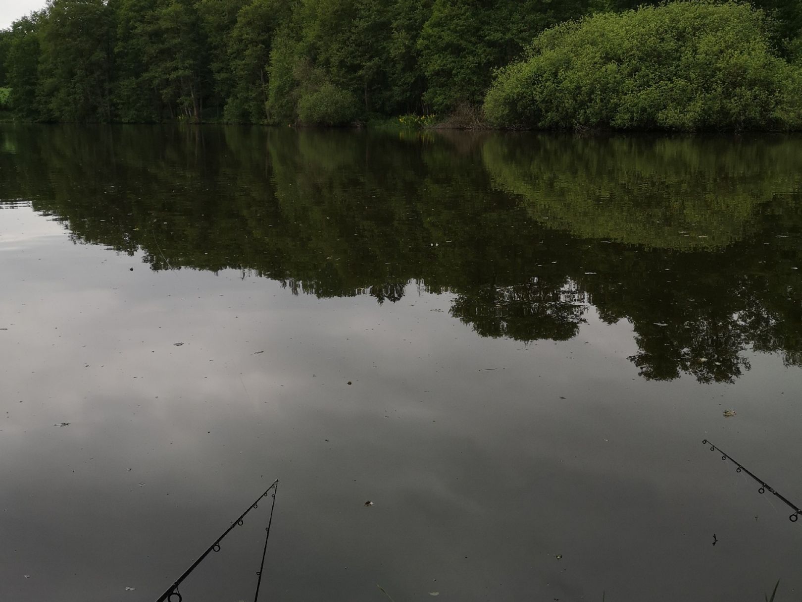 Fischbacher Teich angeln