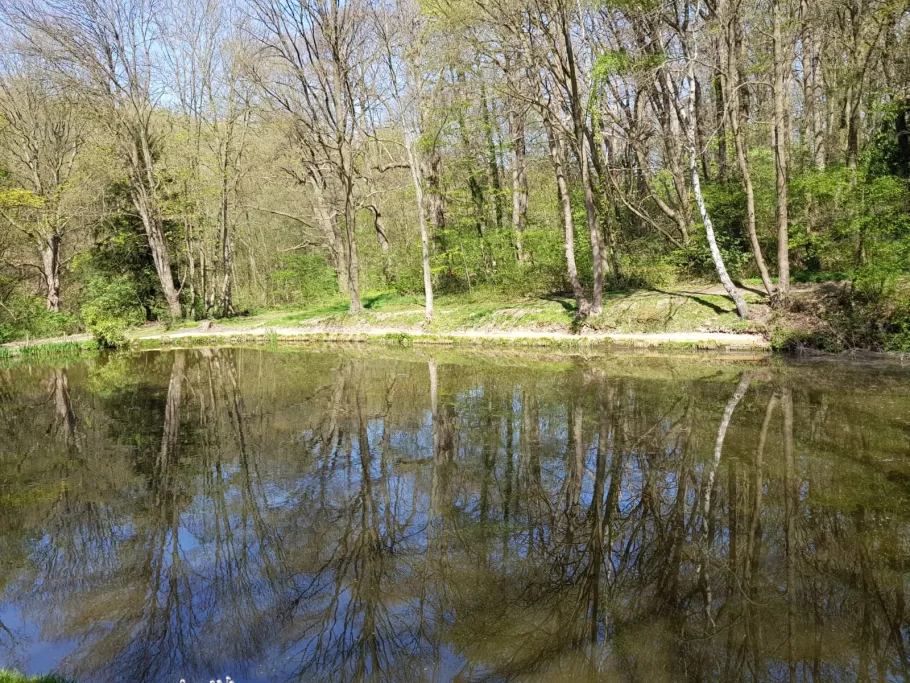 Kaisersruh (Würselen) angeln