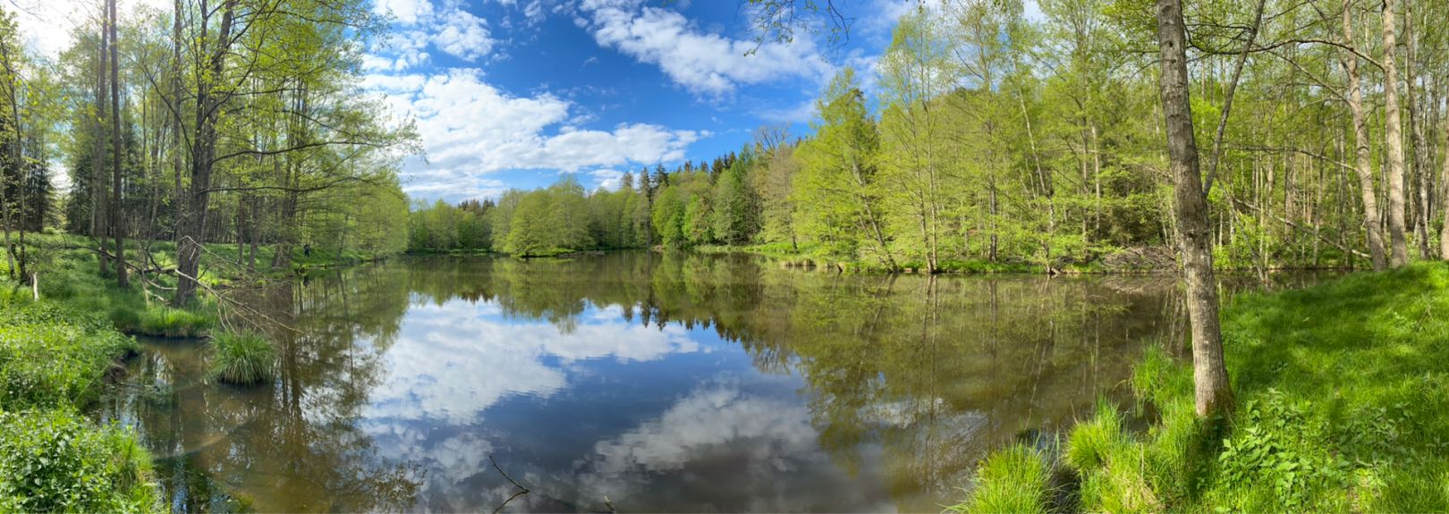 Bihlafinger Weiher angeln