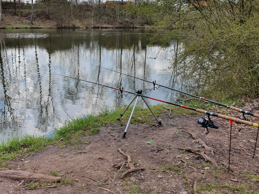 Ziegeleiteich Hohenstein-Ernstthal angeln