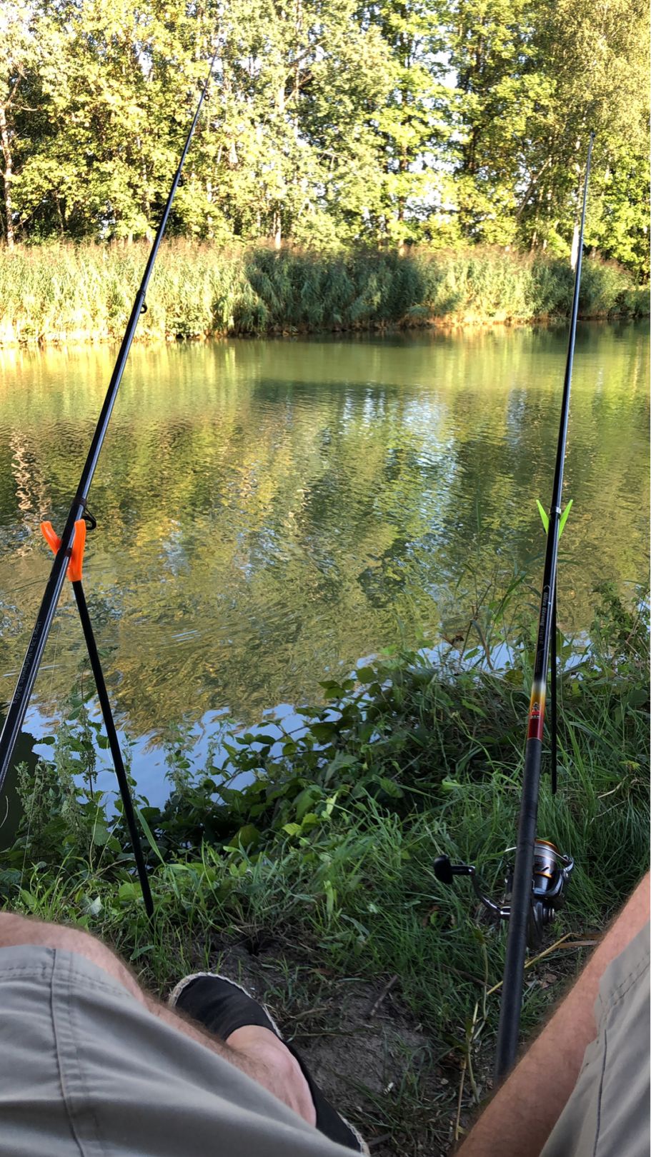 Stichkanal Püsselbüren angeln