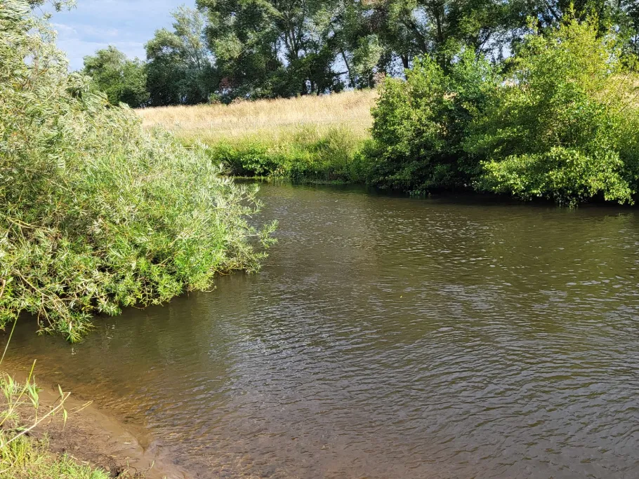 Hövener Fleeth angeln