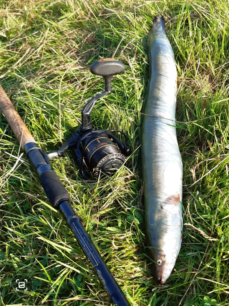 Obere Hunte (Oldenburg) angeln