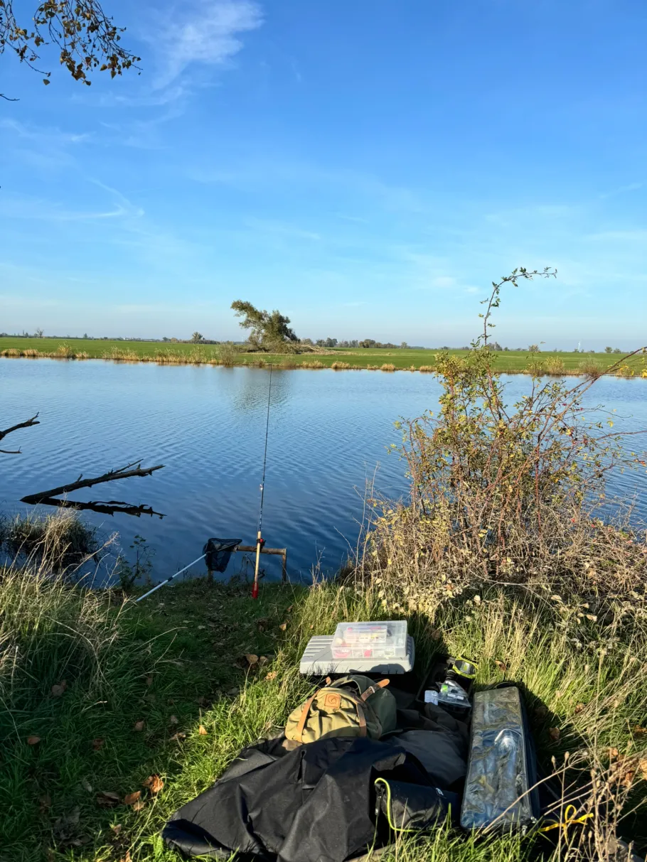 Alte Elbe (Elsnig) angeln