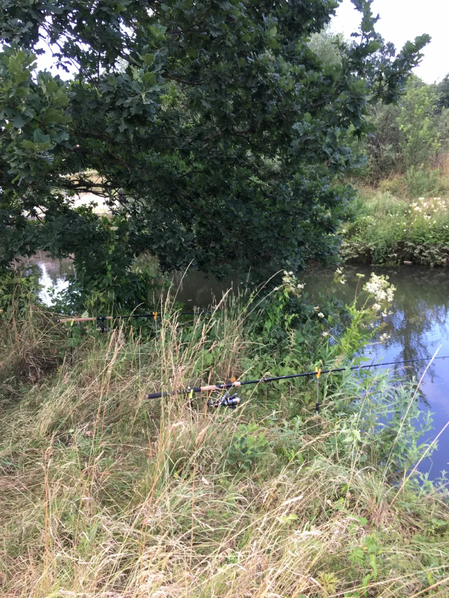 Schwäbische Rezat (Pleinfeld) angeln