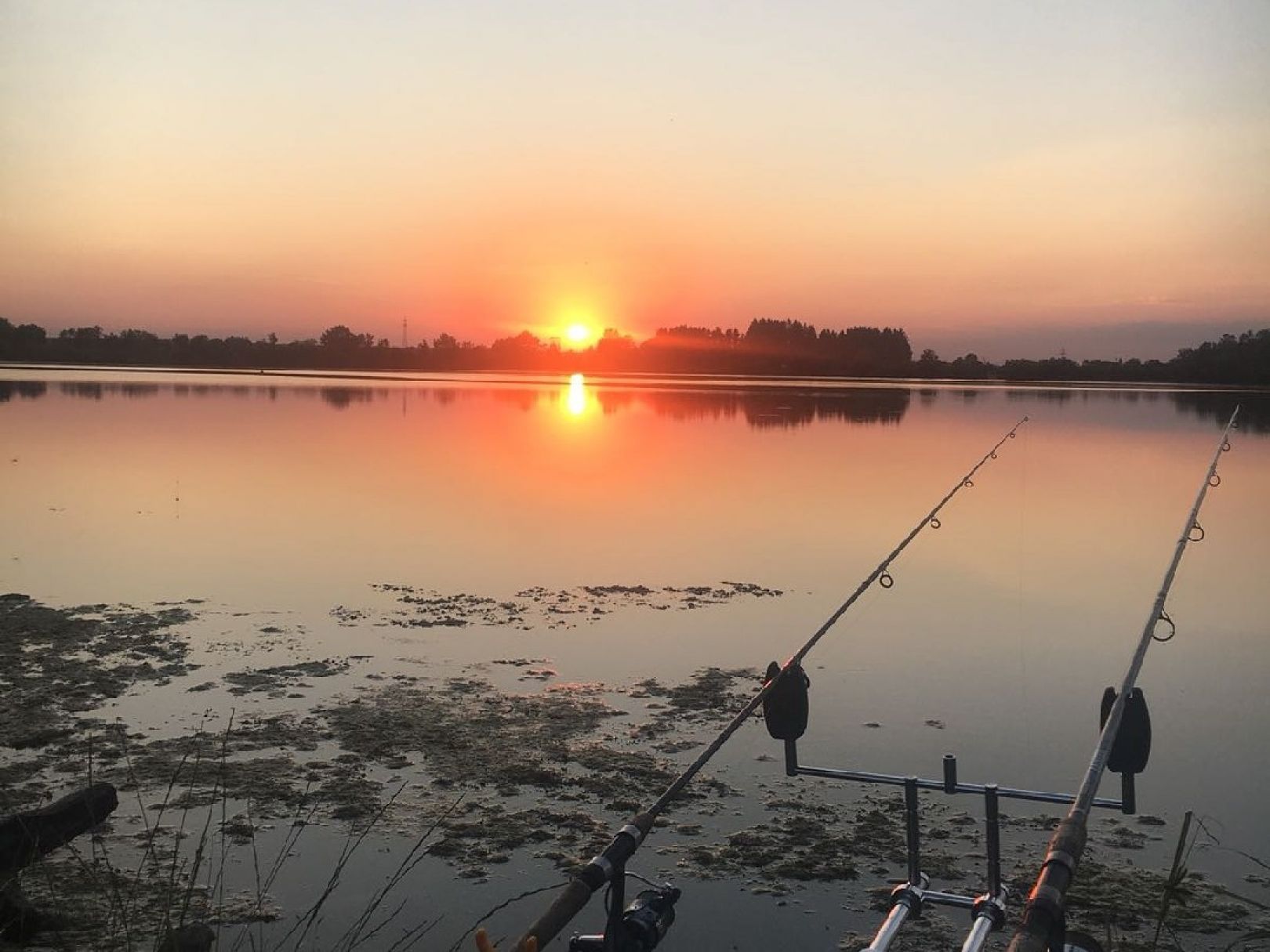 Frankenhofner See angeln
