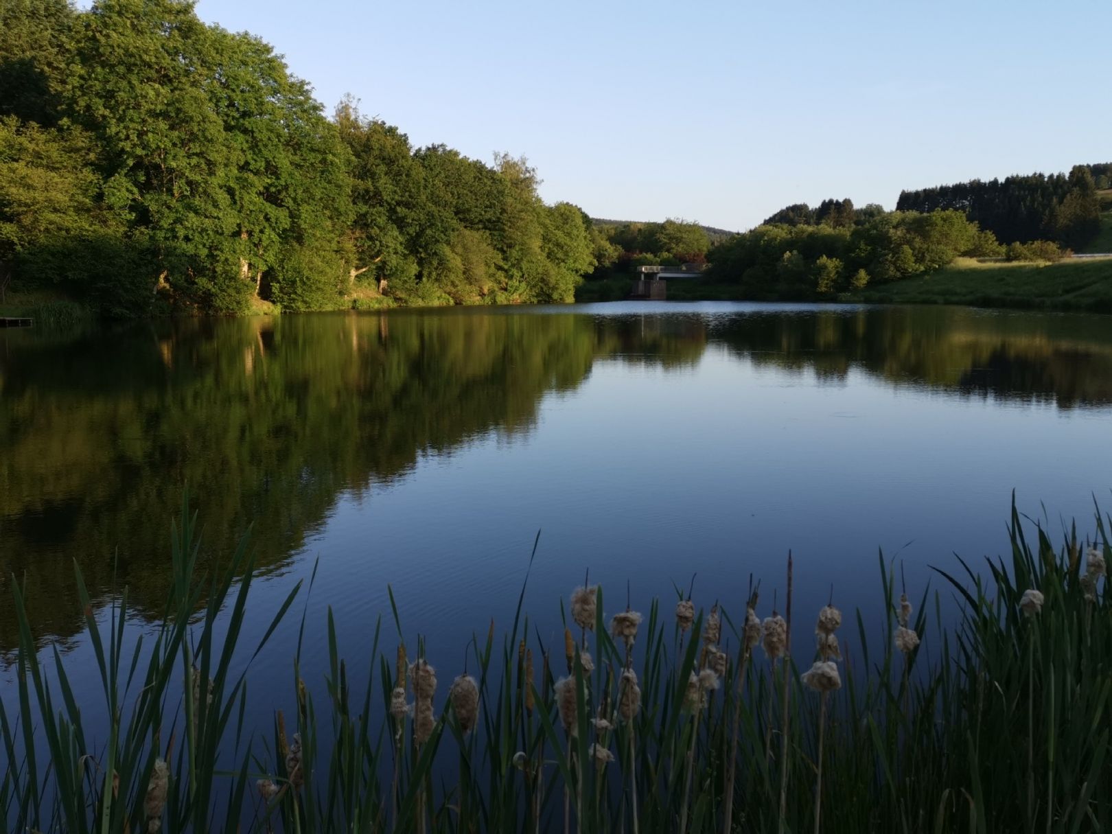 Angeln im Landkreis Eifelkreis Bitburg-Prüm