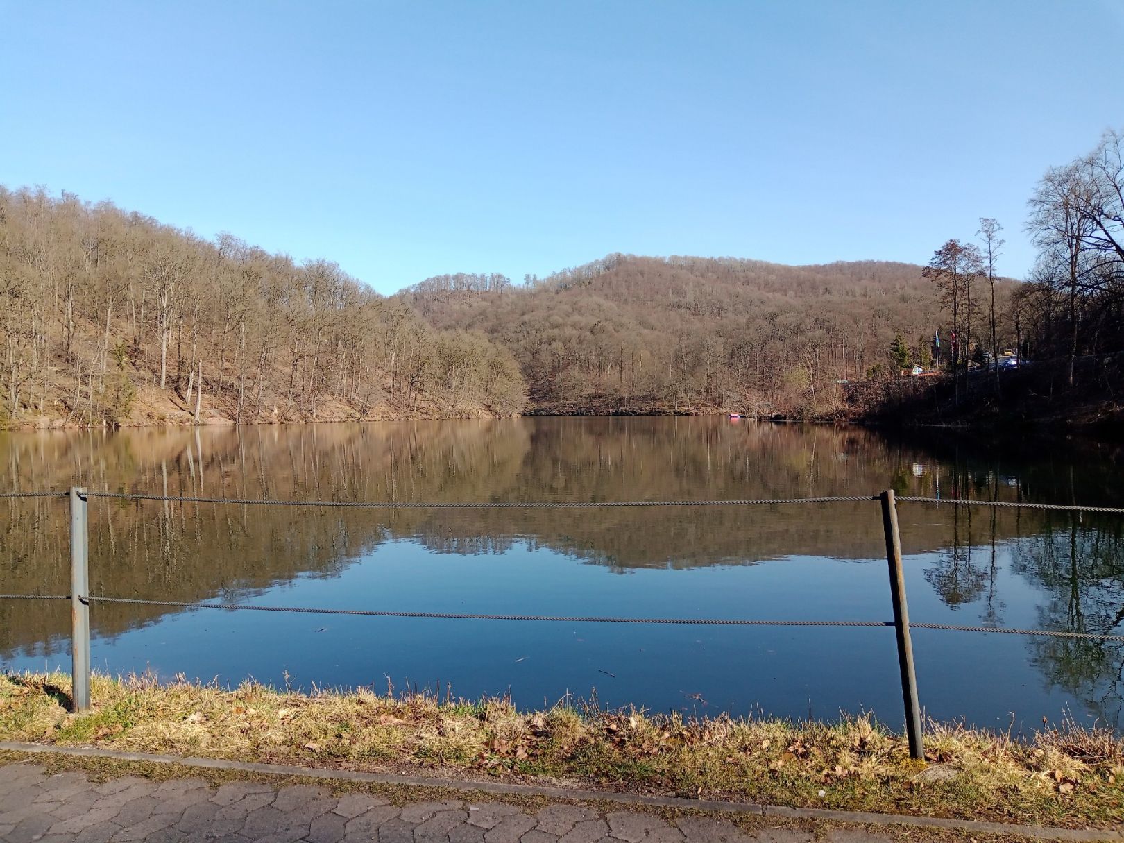 Wiesenbeker Teich angeln