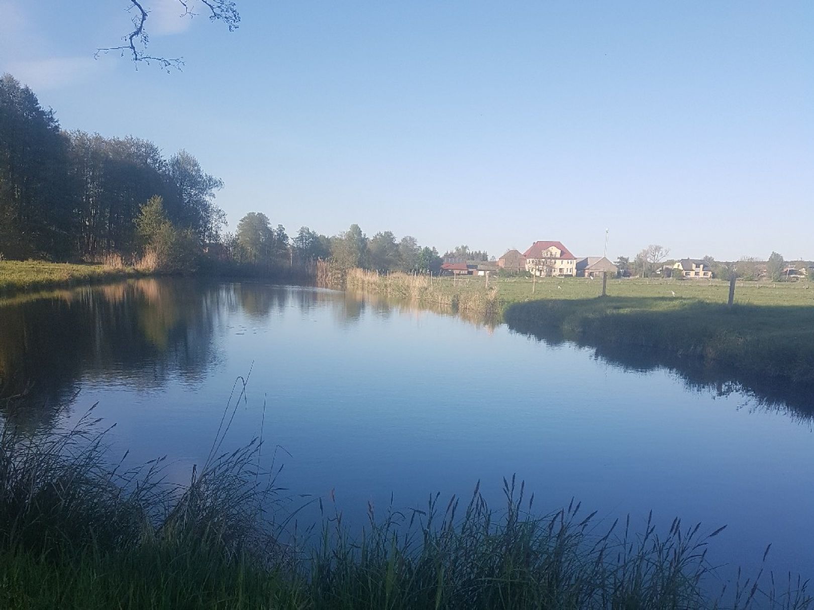 Langer Teich (Immekath) angeln