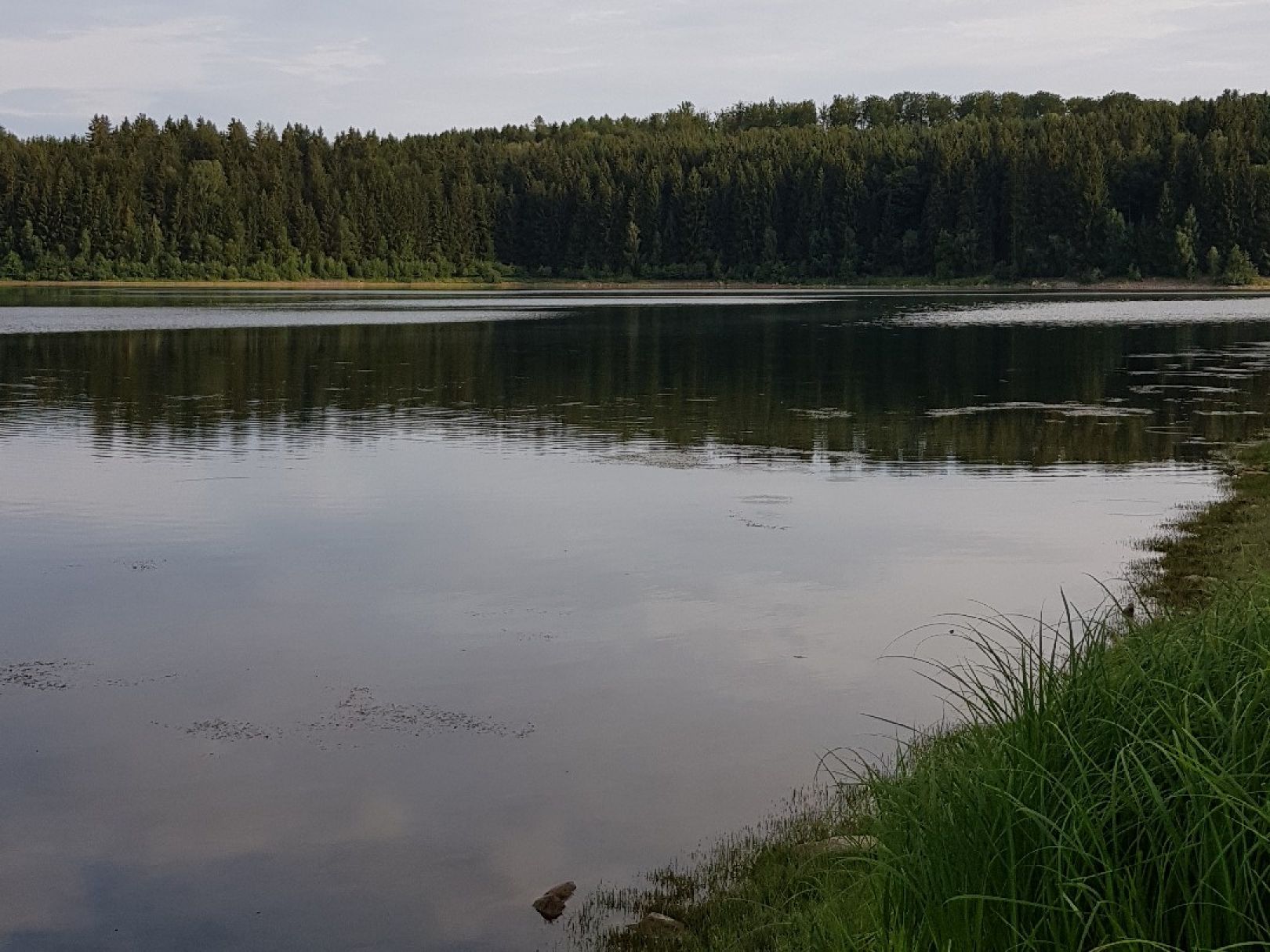 Talsperre Saidenbach angeln