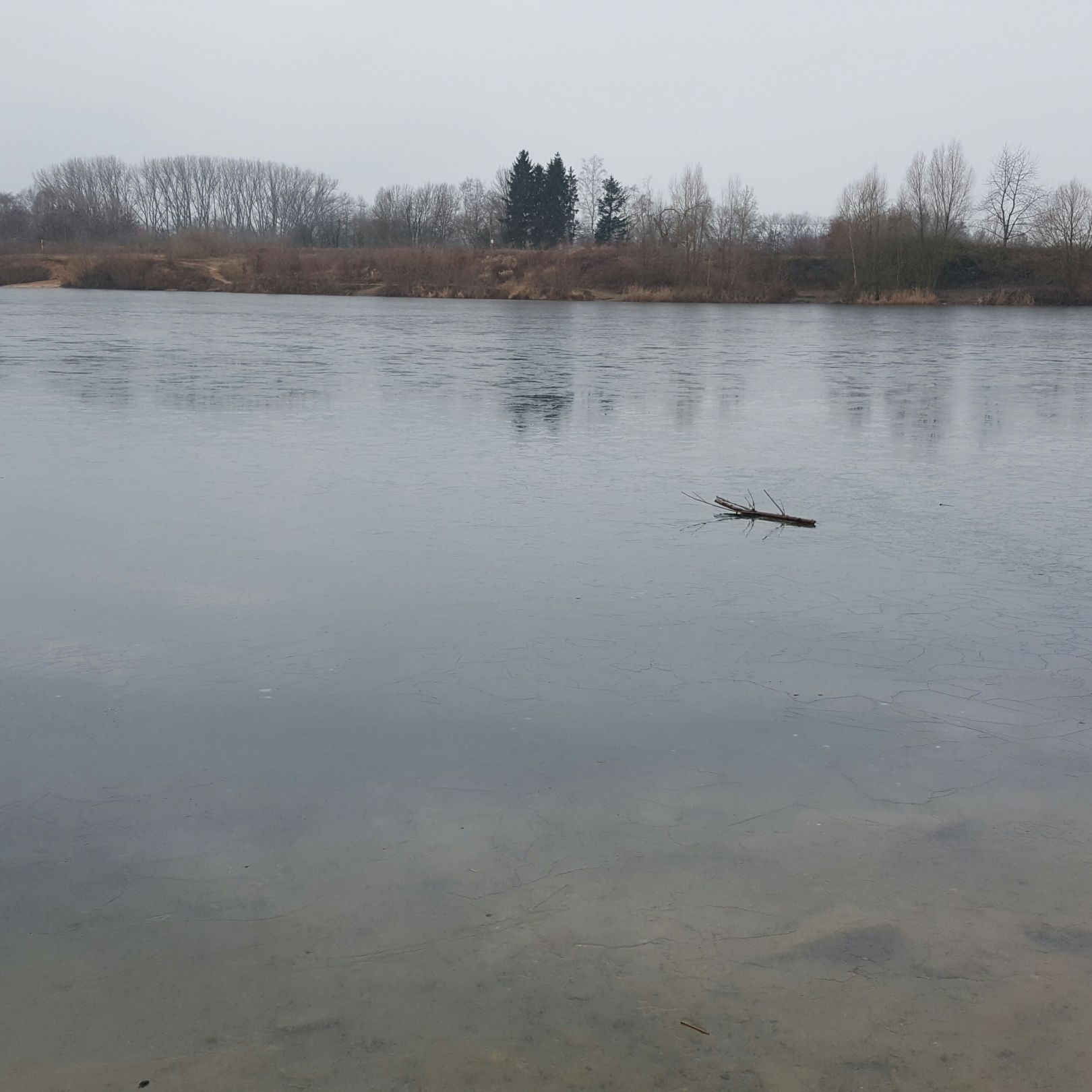 Krietfeldsee angeln