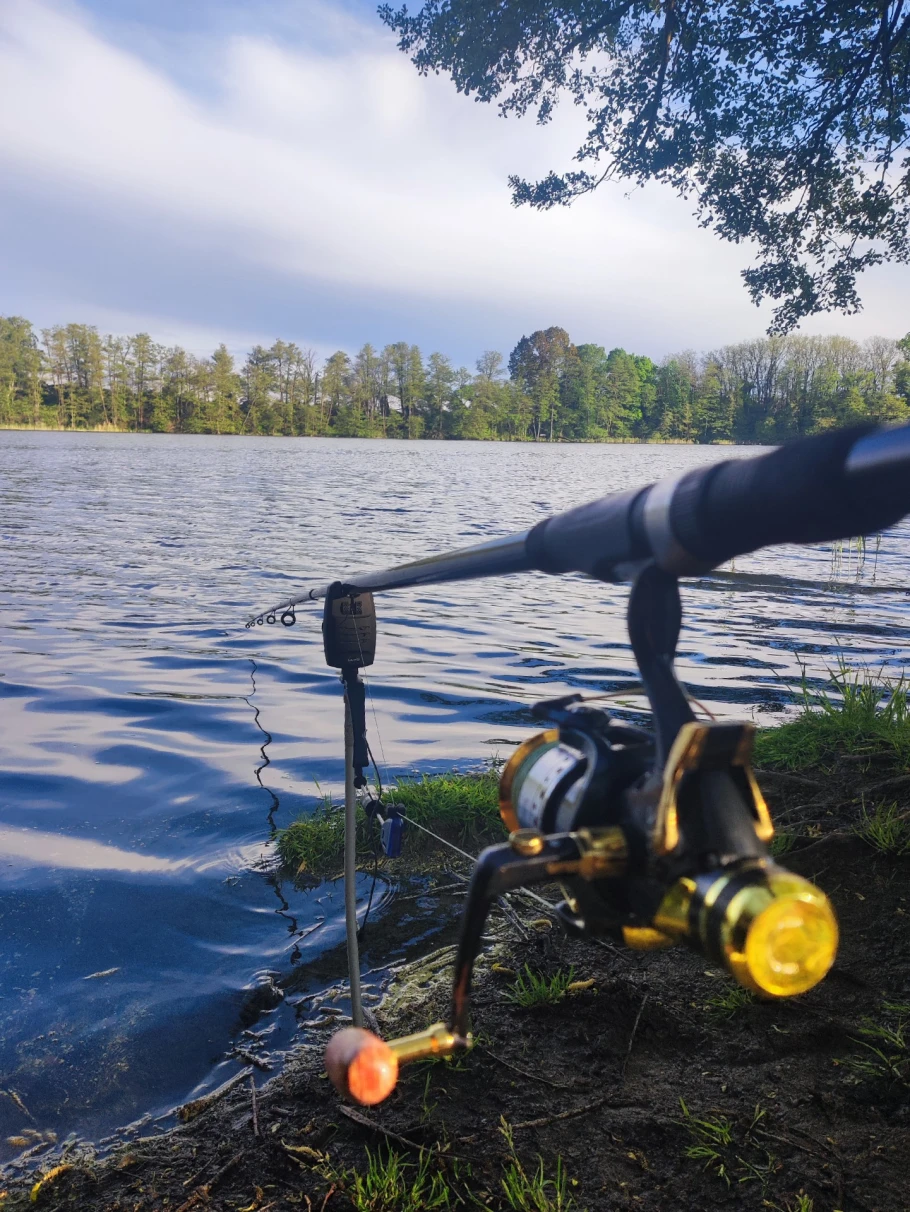 Gabelsee (Falkenhagen) angeln