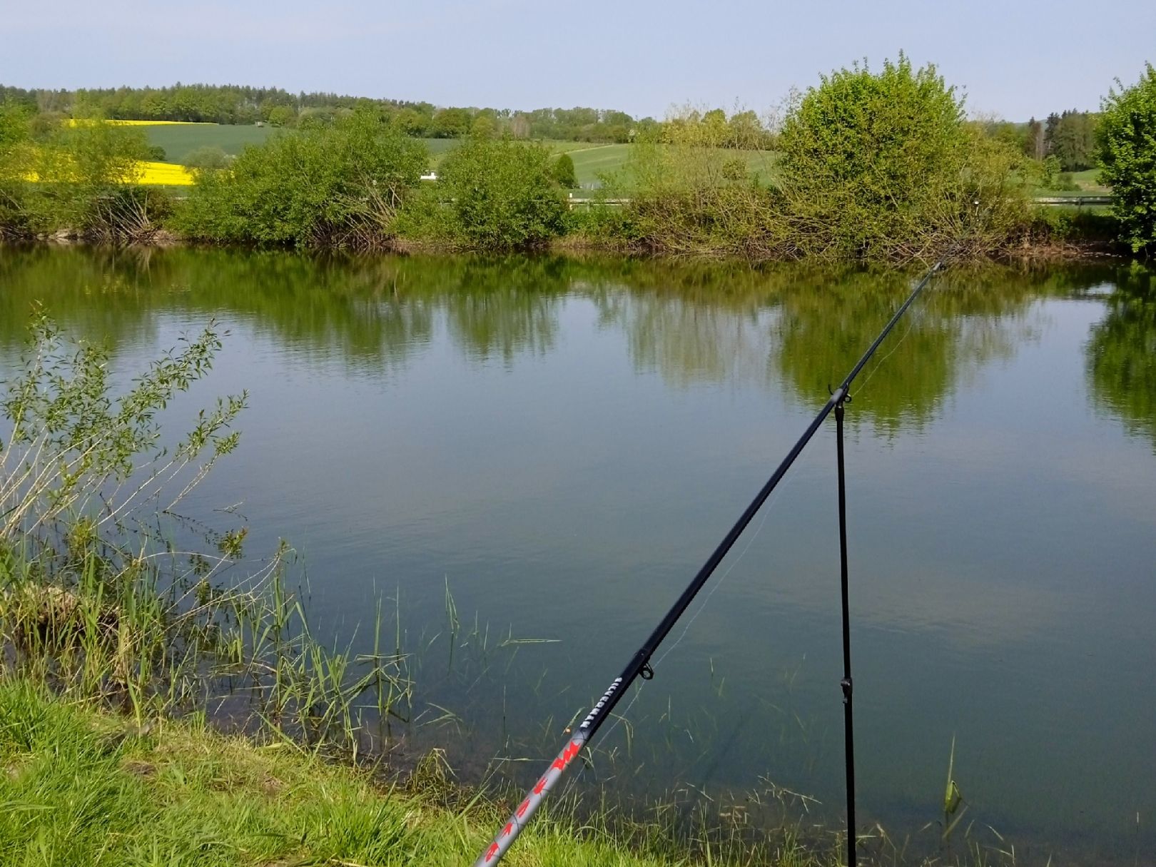 Teich Blickershausen angeln