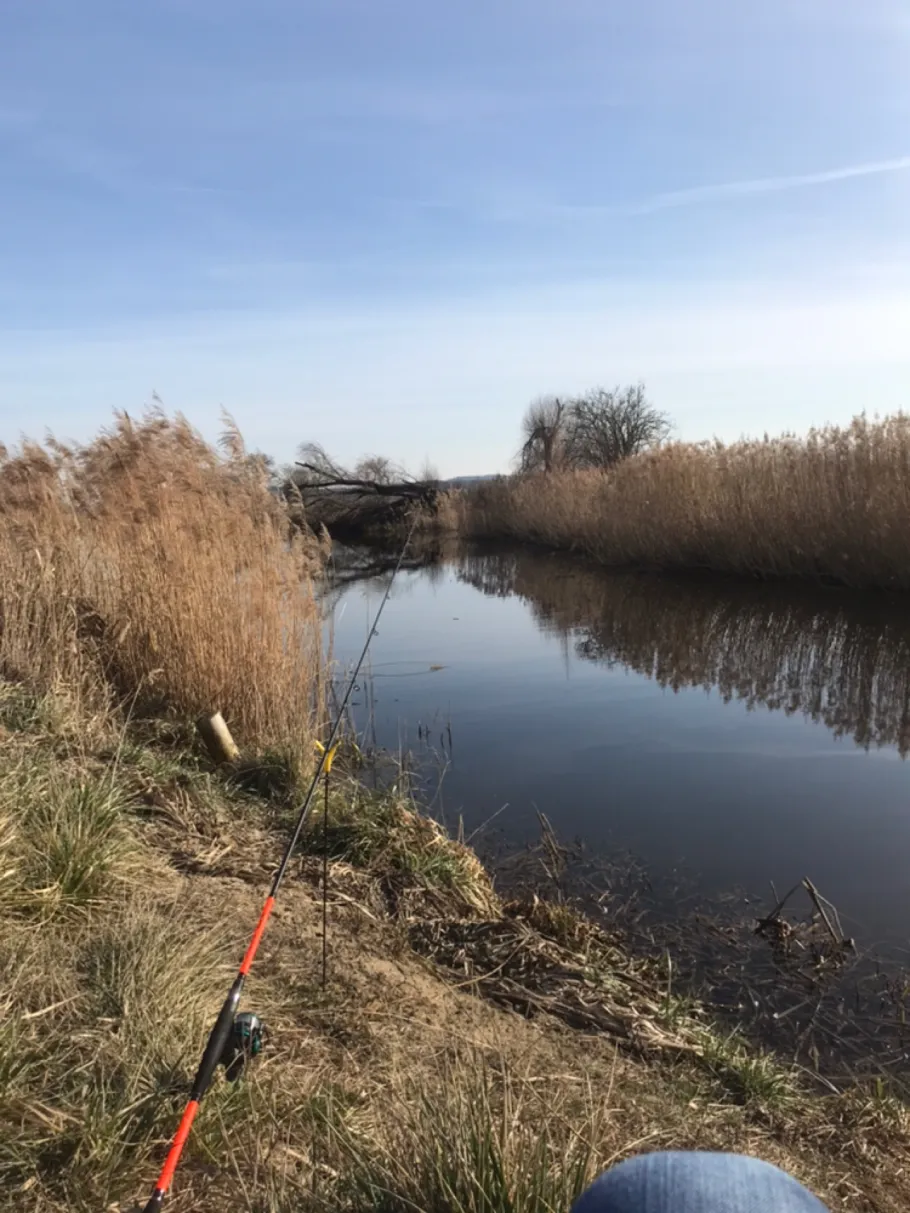 Großbeerener Graben (Nuthegraben) angeln