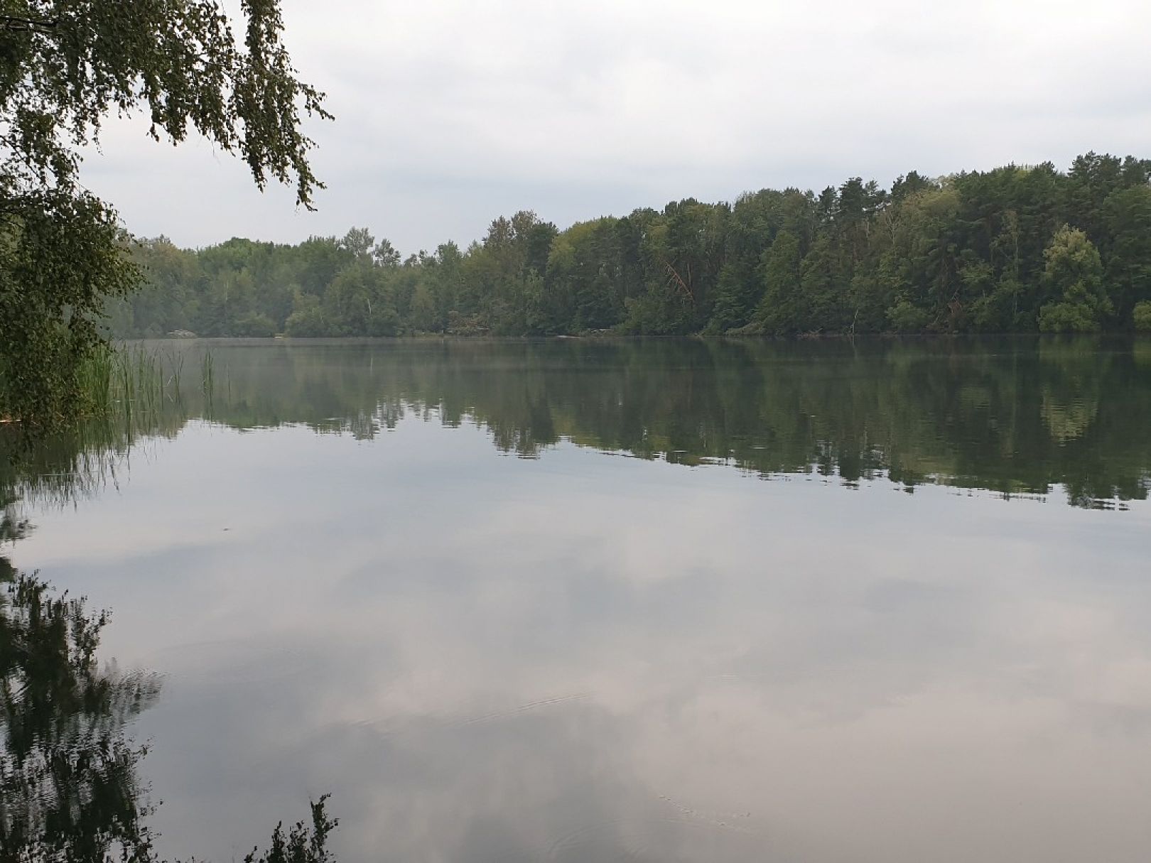 Kleiner Tonsee (Bestensee) angeln