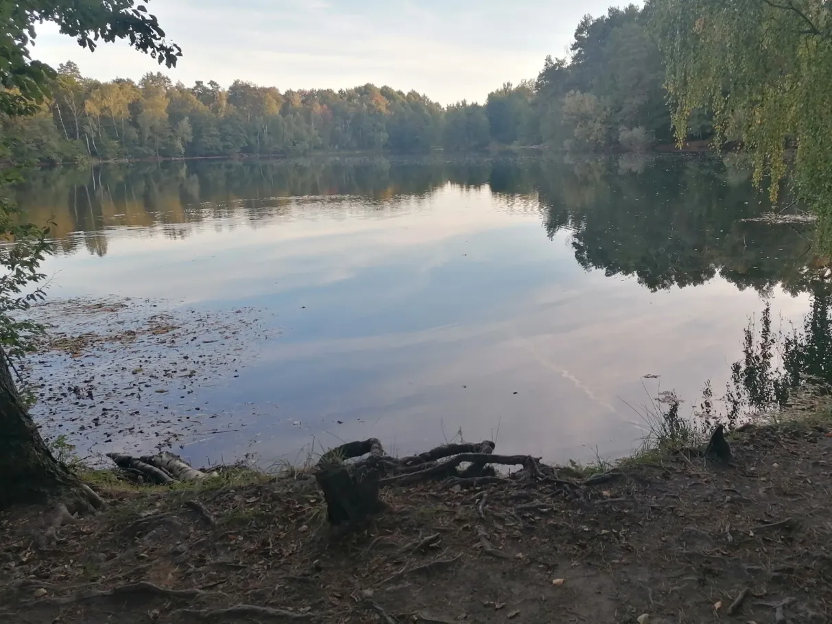 Kleiner Tonsee (Bestensee) angeln