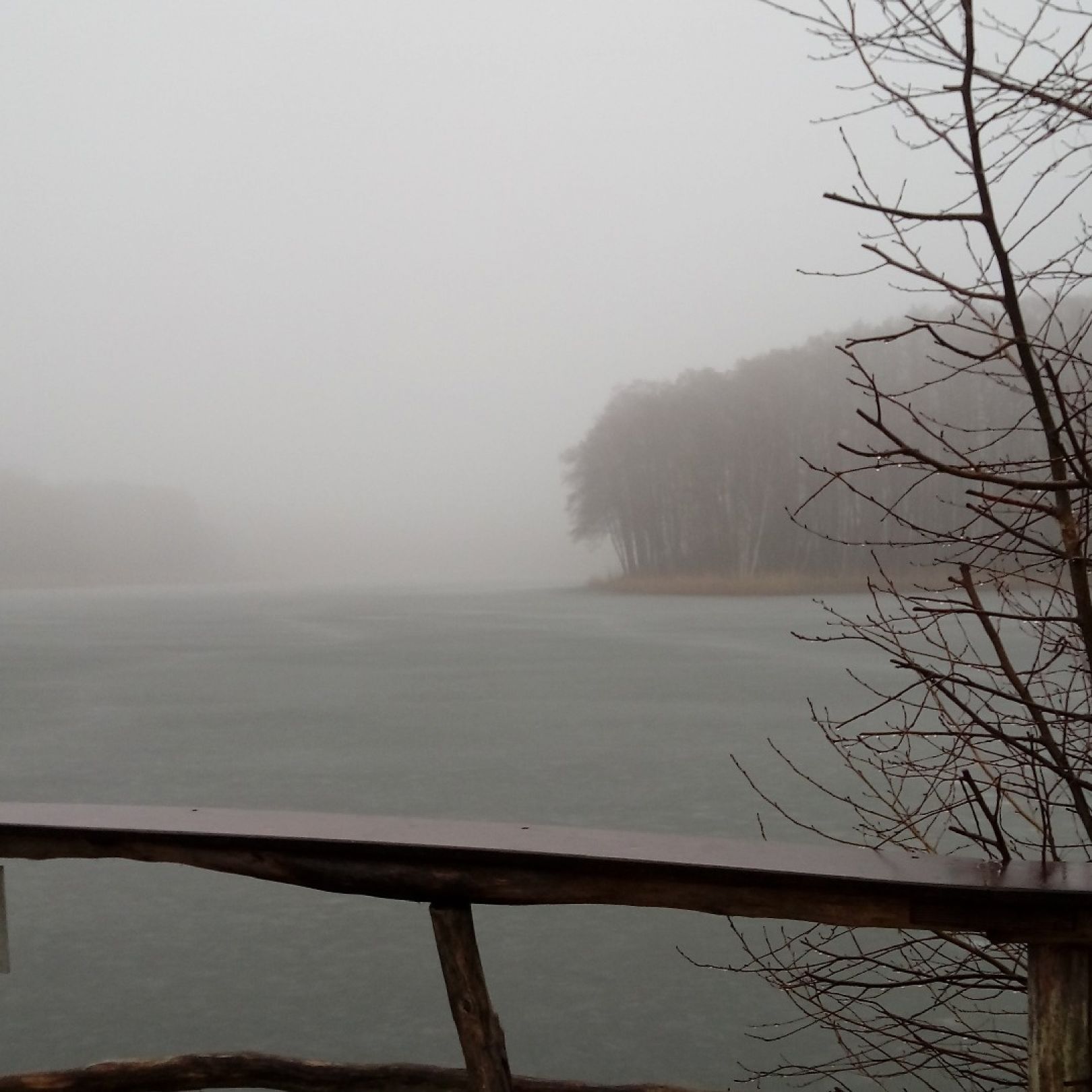 Großer Lienewitzsee angeln