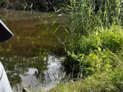 Steinbruch (Collm-Dallwitz) angeln