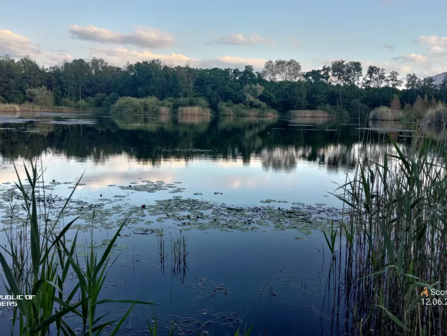 Kiesgrube Finsterwalder Straße (Doberlug-Kirchhain) angeln