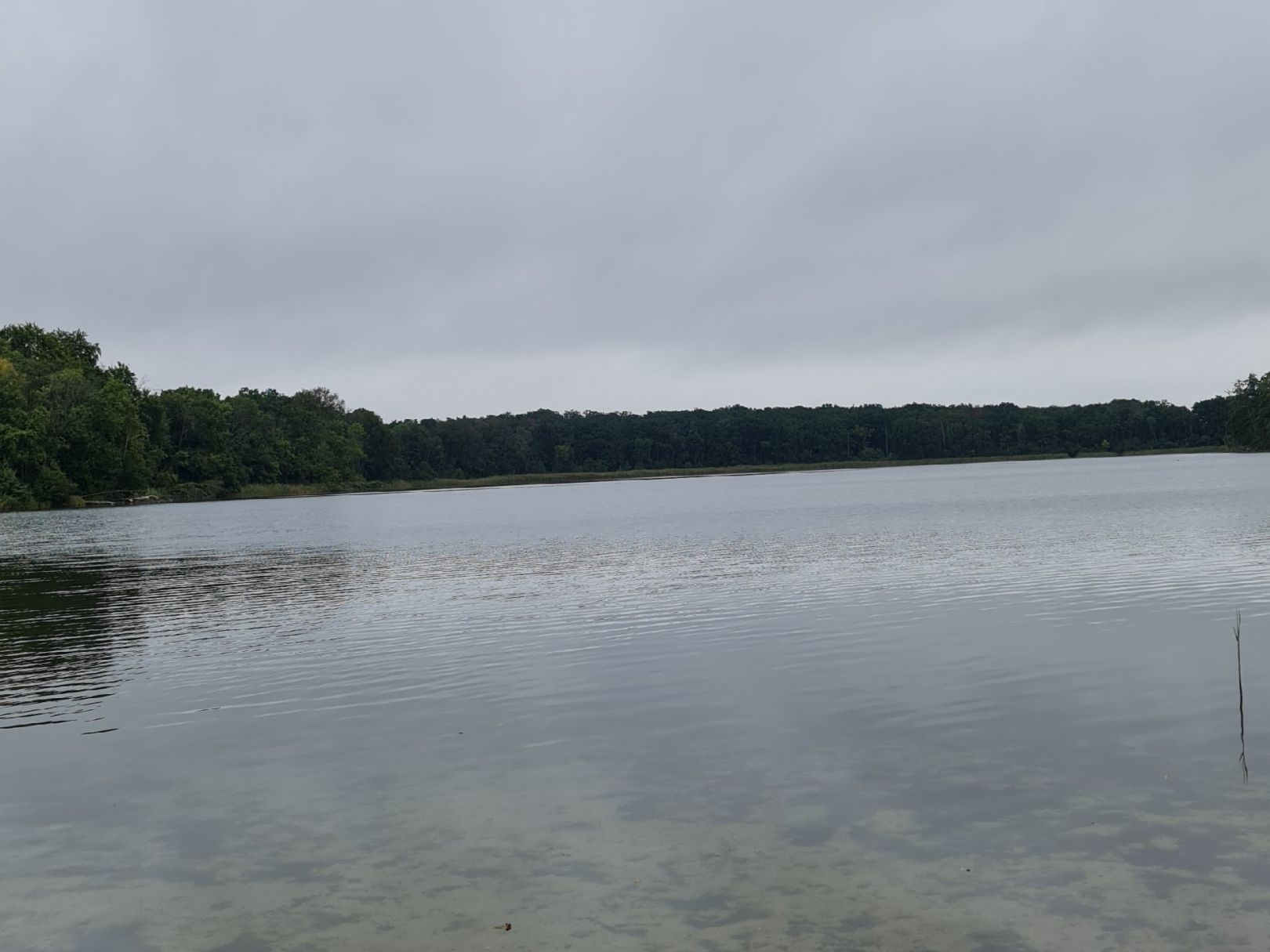Großer Plessower See angeln