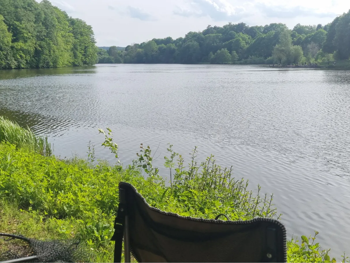 Haunestausee angeln