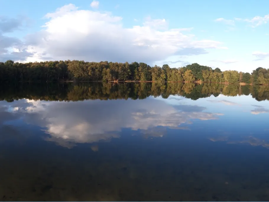 Kieskuhle Roggenmoor angeln