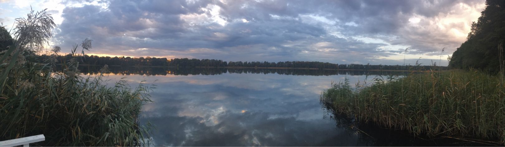 Klostersee (Altfriedland) angeln