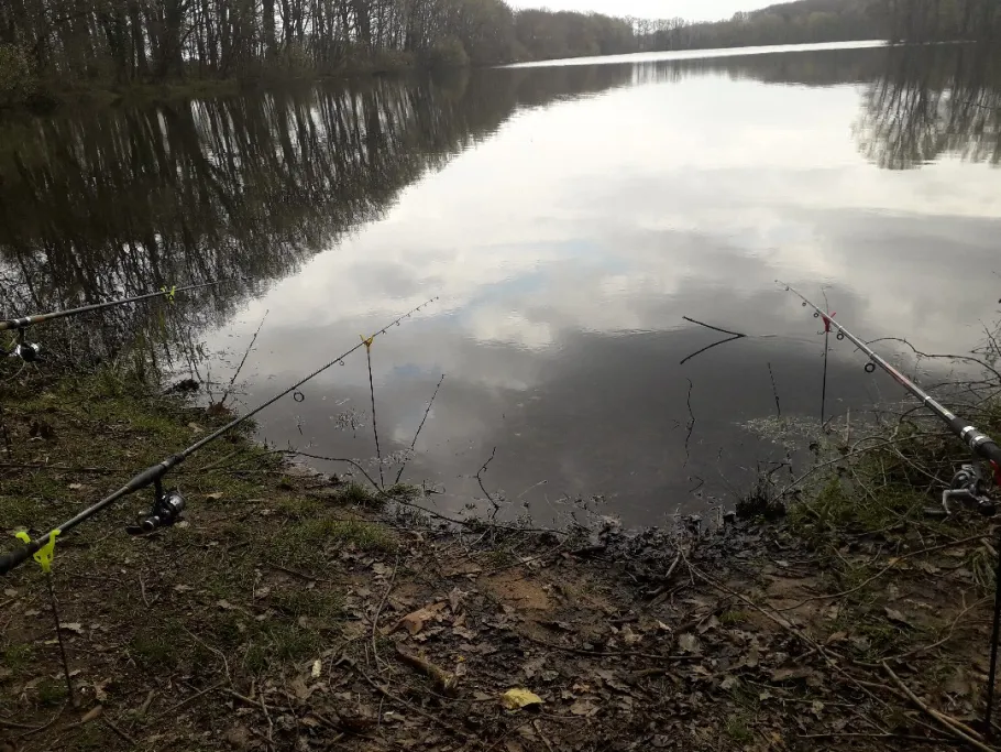 Heitkampsee  angeln