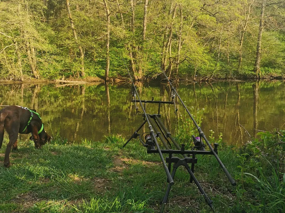 Glan (Medard) angeln