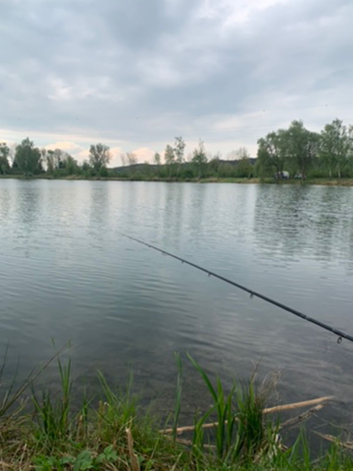Burgauer See (FV Esslingen) angeln