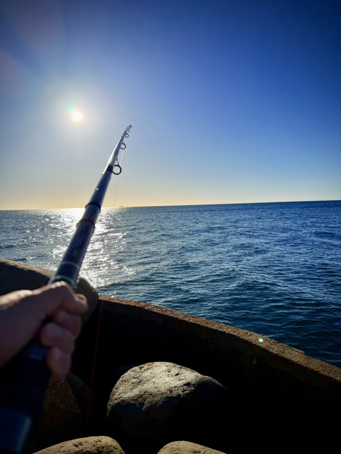 Ålbæk Bugt (Ostsee) angeln