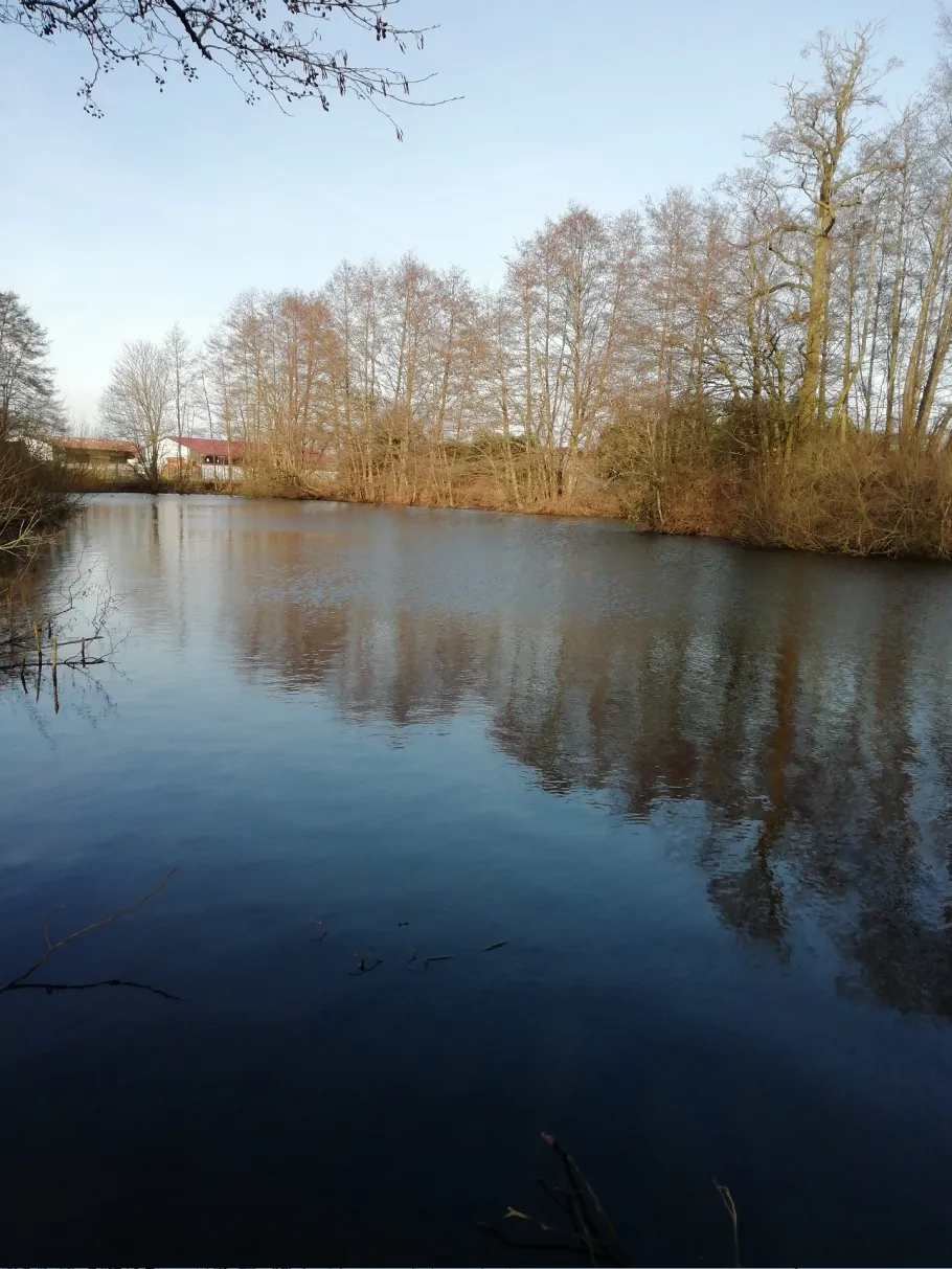 Weiher Wietmarschen angeln