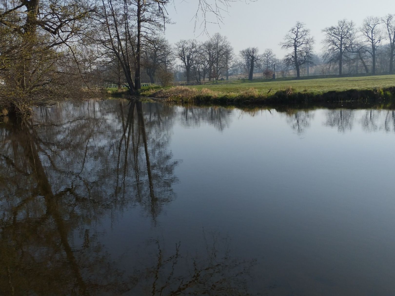 Große Röder (Rödern) angeln