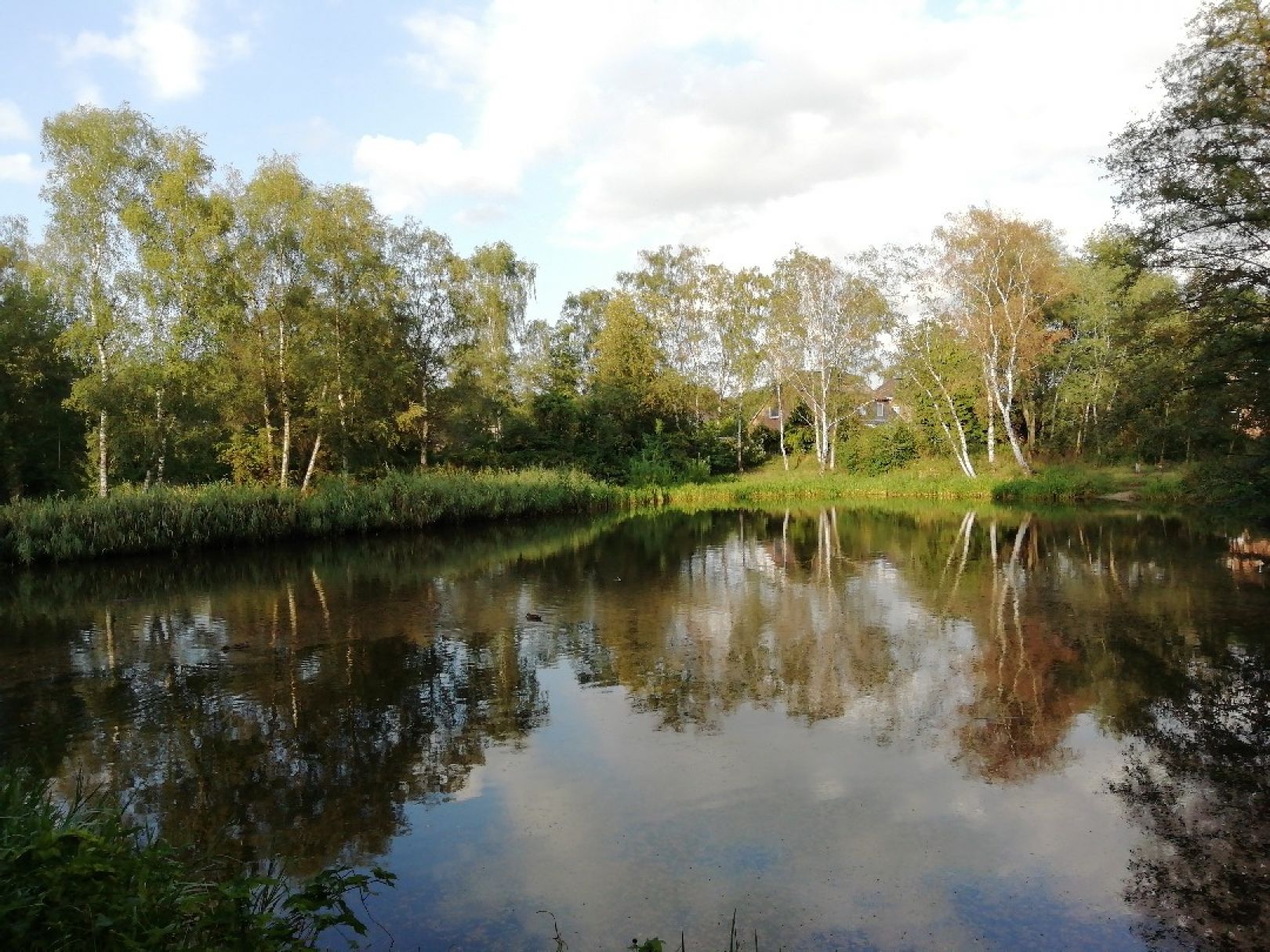 Weiher an der Autobahn (Glinde) angeln