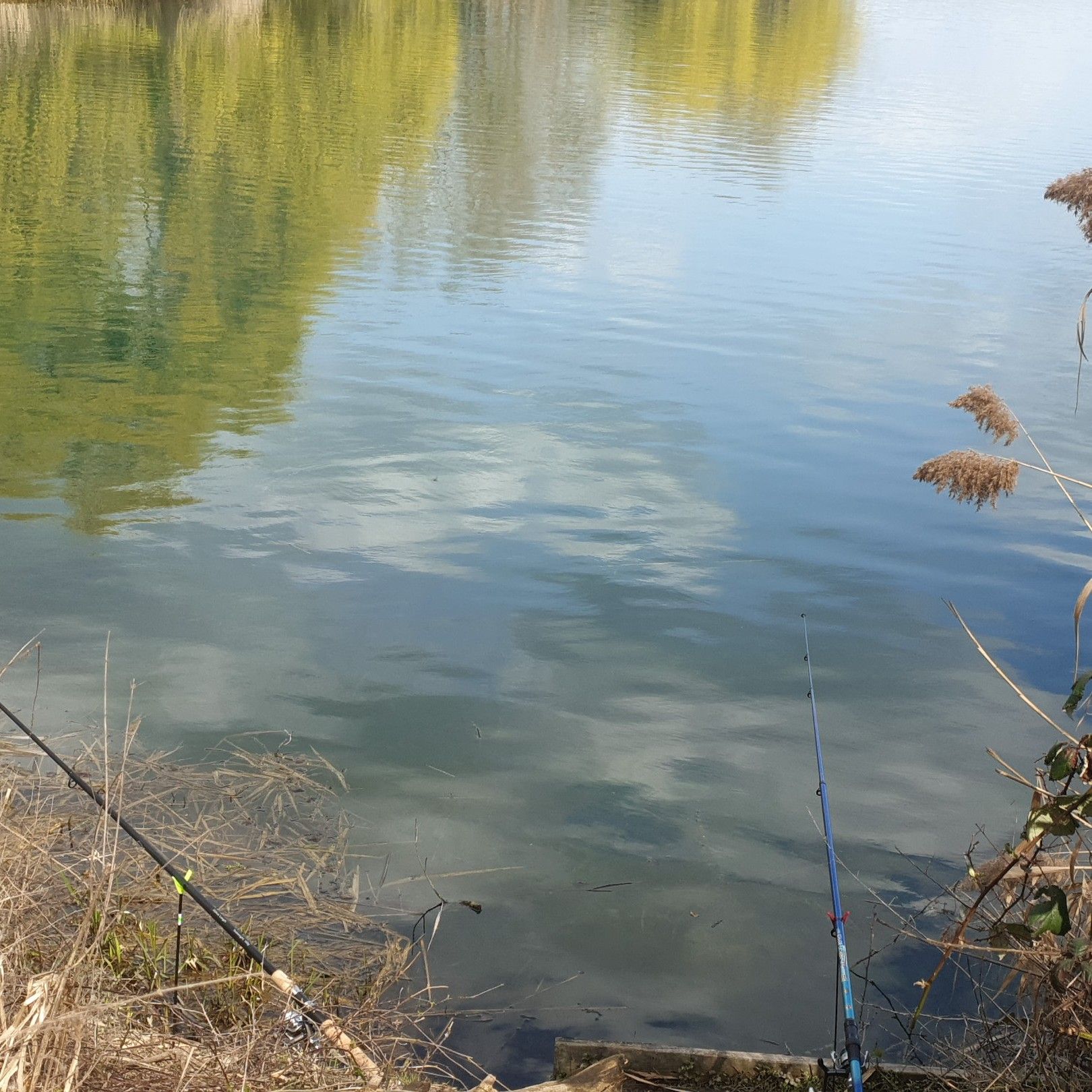 Silbersee (Neuwied) angeln