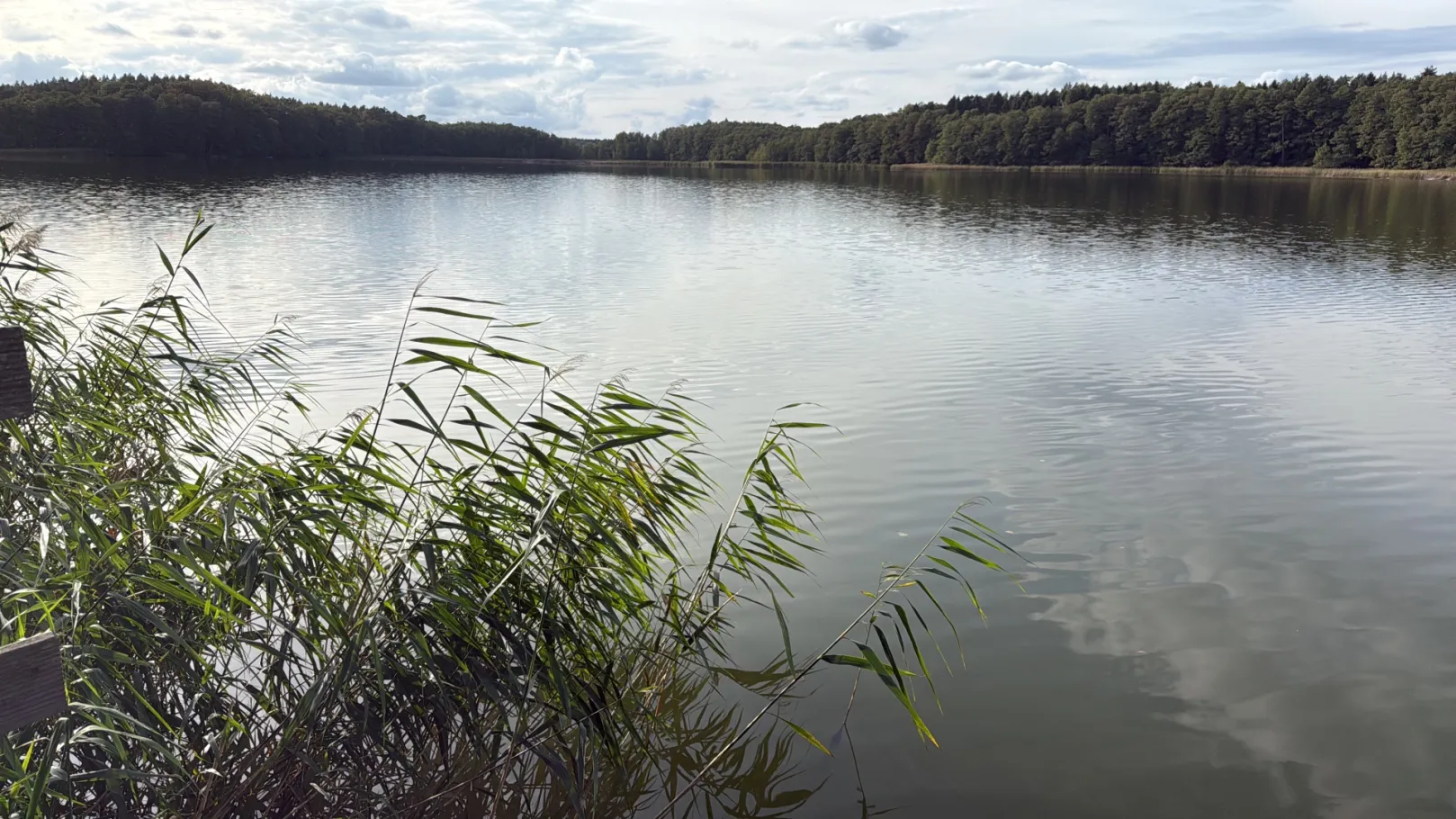 Godendorfer Vordersee angeln